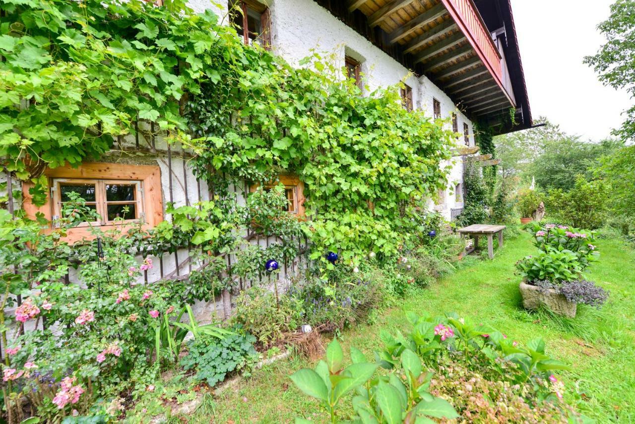 Hofatelier Menacher Neureichenau Kültér fotó